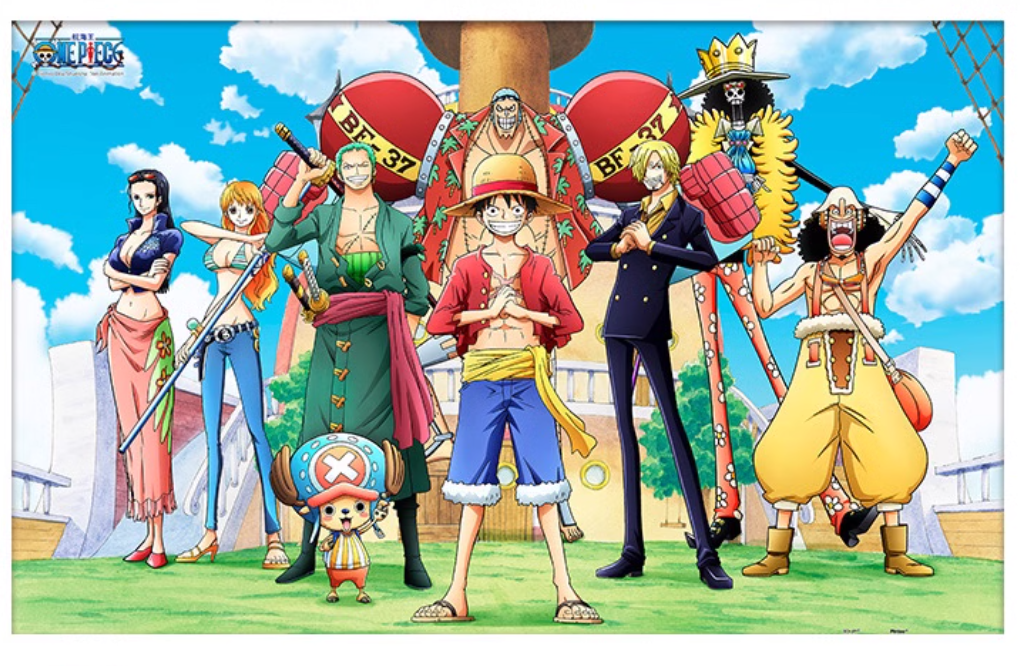 One Piece - Partners - 1000pcs