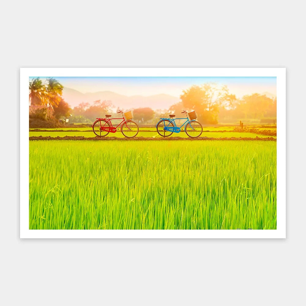 Bicycle Trip Collection - Sun-kissed Green Fields (單車漫遊系列-田間小路篇) - 1000pcs