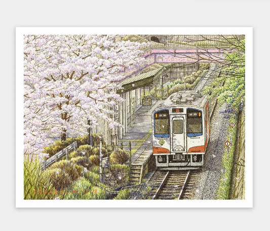 Tadashi Matsumoto - Sakura in Full Bloom (松本忠-櫻花盛開) - 1200pcs